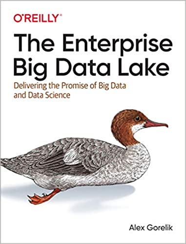 Portada libro Big Data The enterprise big data lake