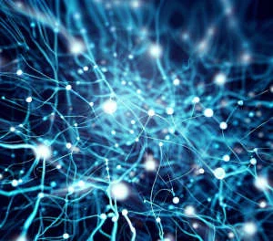 Redes Neuronales Artificiales